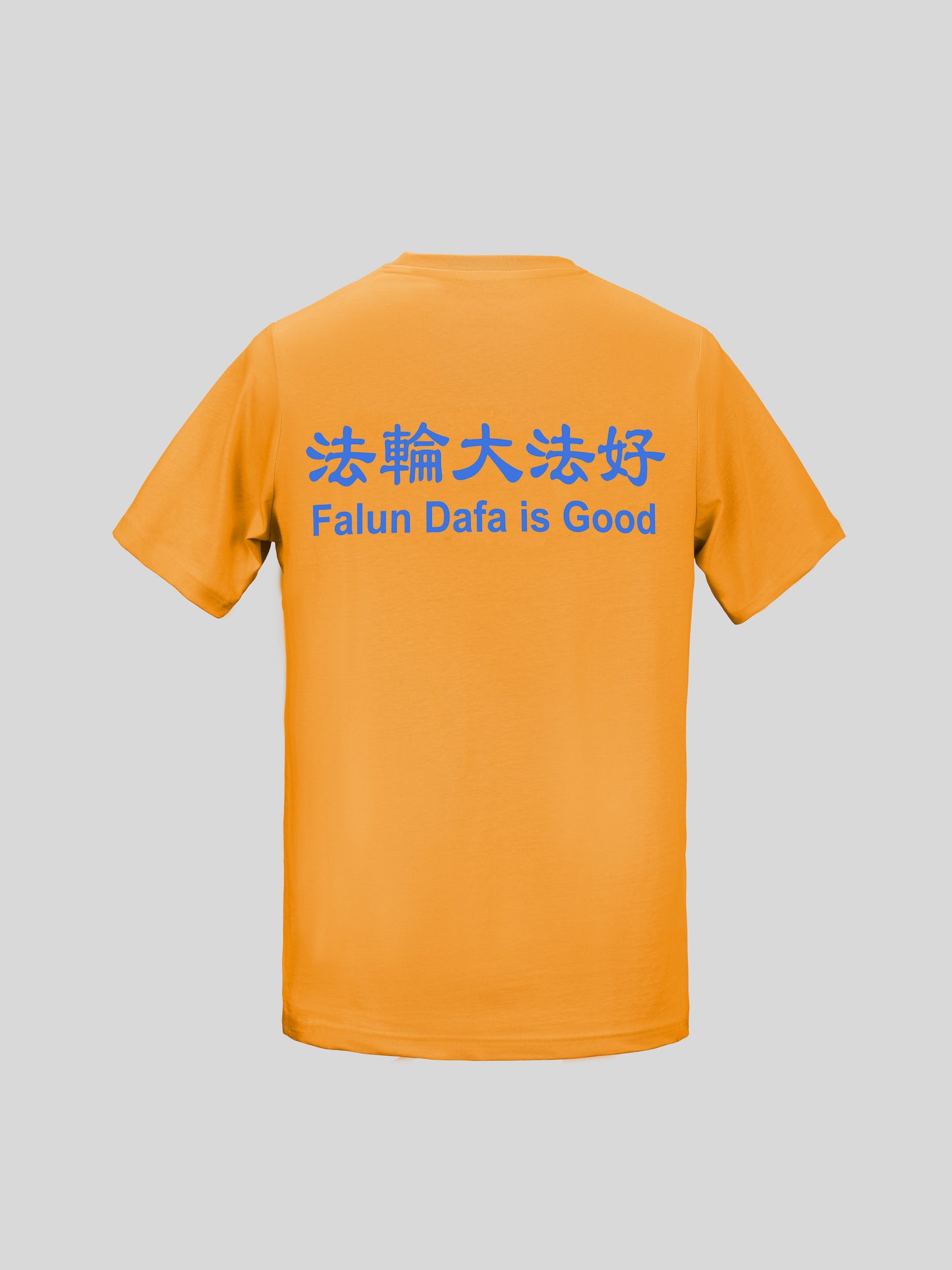 Falun Dafa is Good T-Shirt